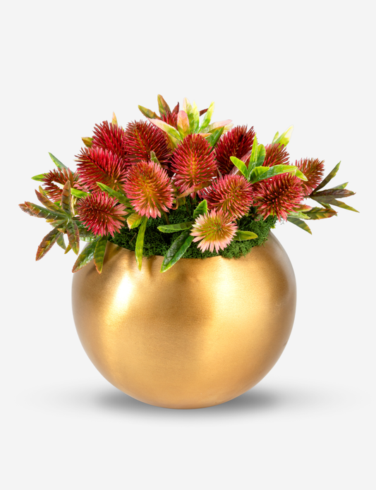 Kairo Thistle Arrangement