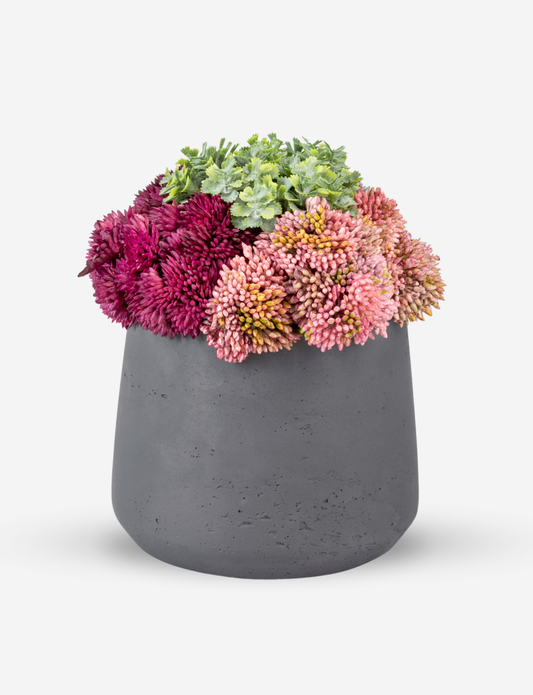 Leigh Sedum Arrangement