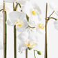 Lilibet RealTouch Orchid Arrangement