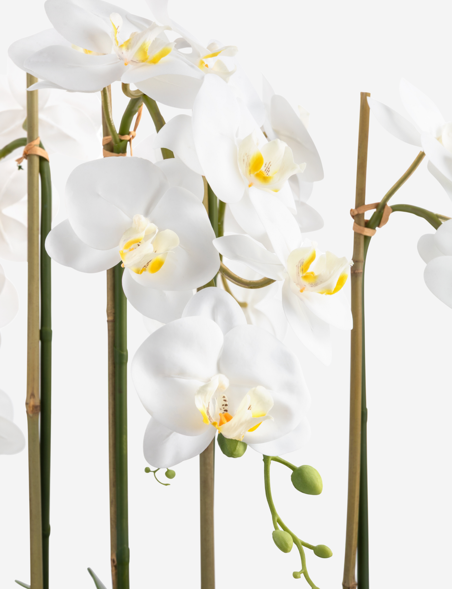 Lilibet RealTouch Orchid Arrangement