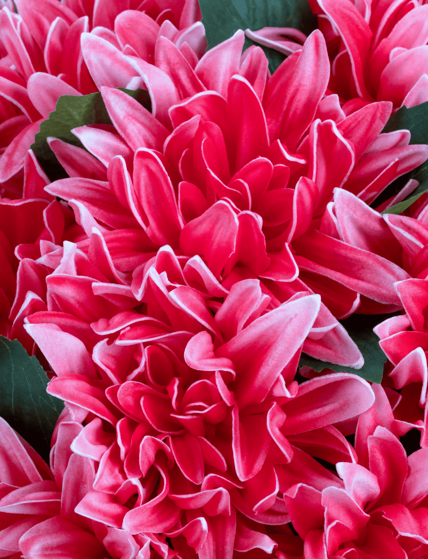 Livia RealTouch Dahlia Arrangement