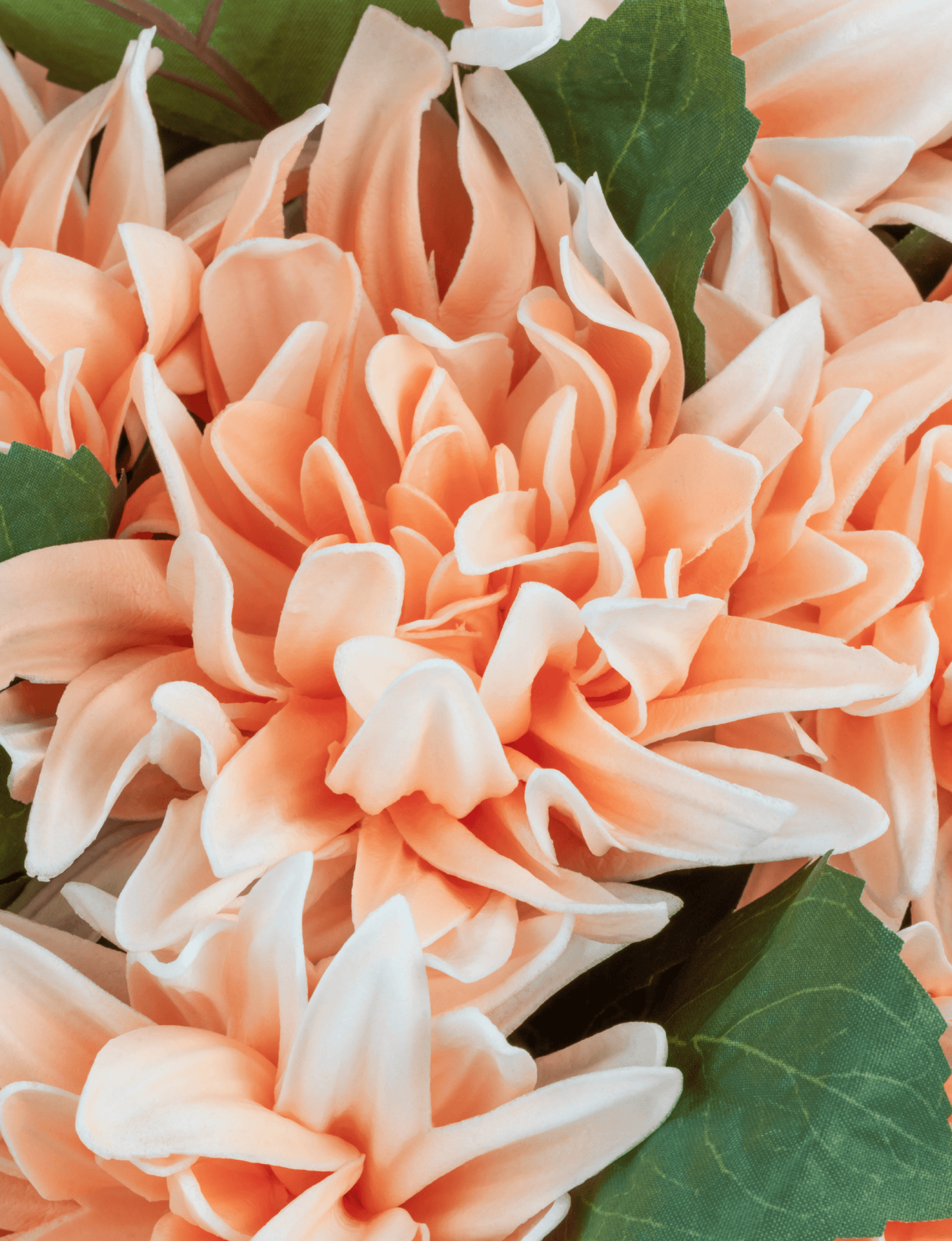 Livia RealTouch Dahlia Arrangement