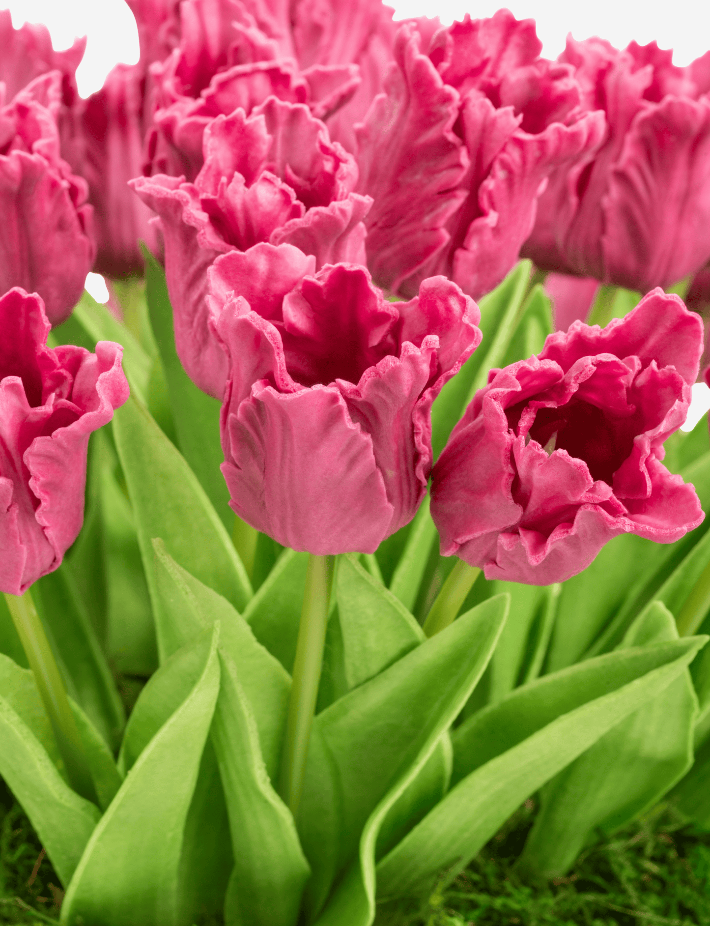 Louisa RealTouch Tulip Arrangement