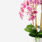 Lugano RealTouch Orchid Arrangement