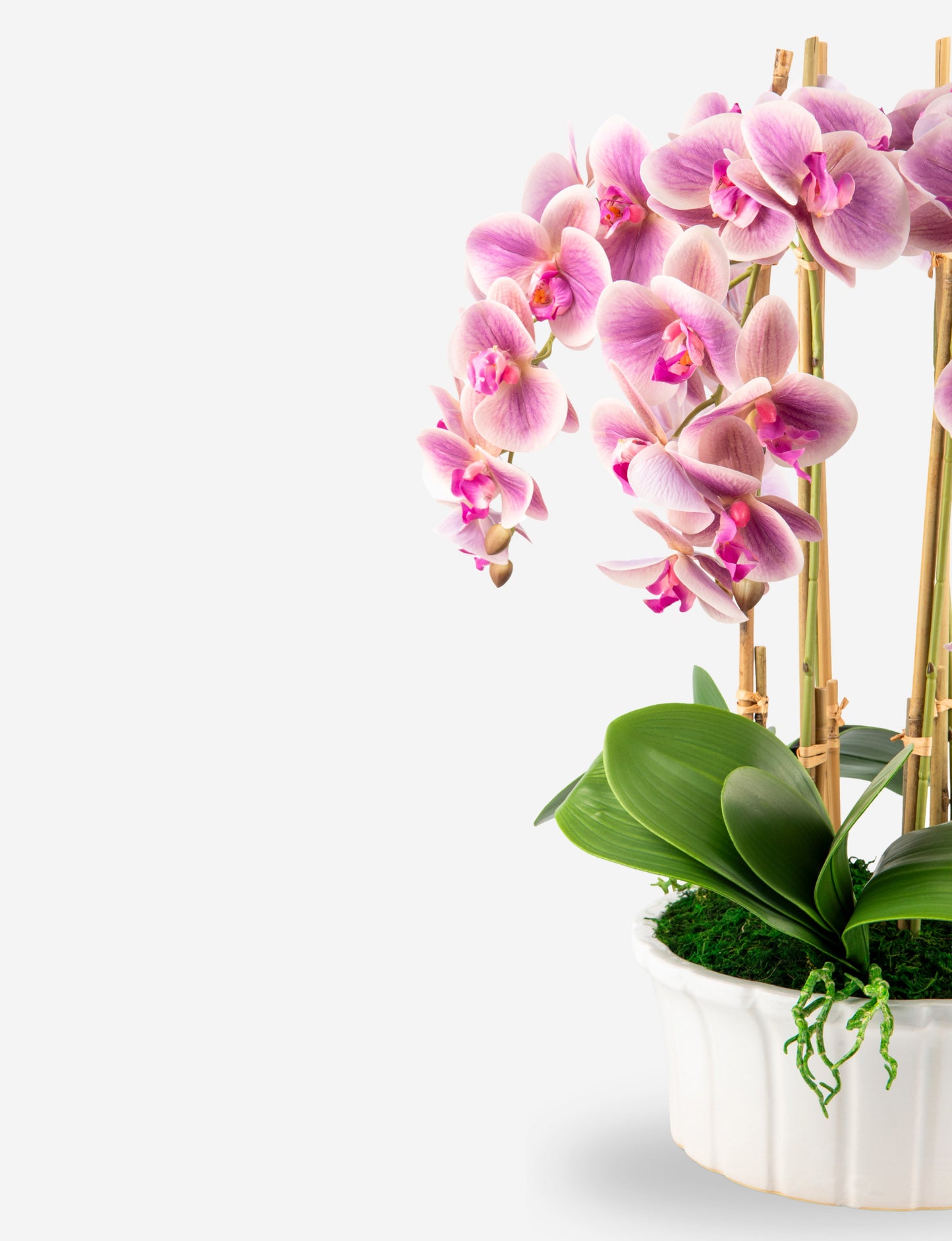 Lugano RealTouch Orchid Arrangement