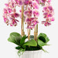 Lugano RealTouch Orchid Arrangement