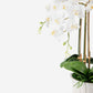 Lugano RealTouch Orchid Arrangement