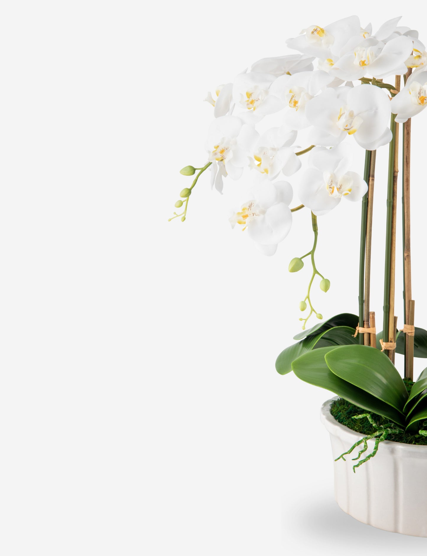 Lugano RealTouch Orchid Arrangement