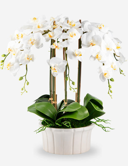 Lugano RealTouch Orchid Arrangement