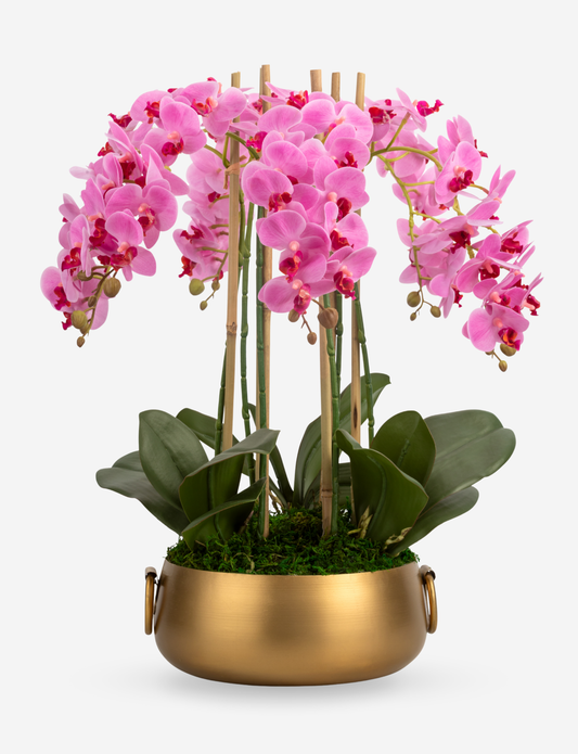 Madelyn RealTouch Orchid Arrangement