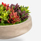 Mallorca Succulent Cement Arrangement
