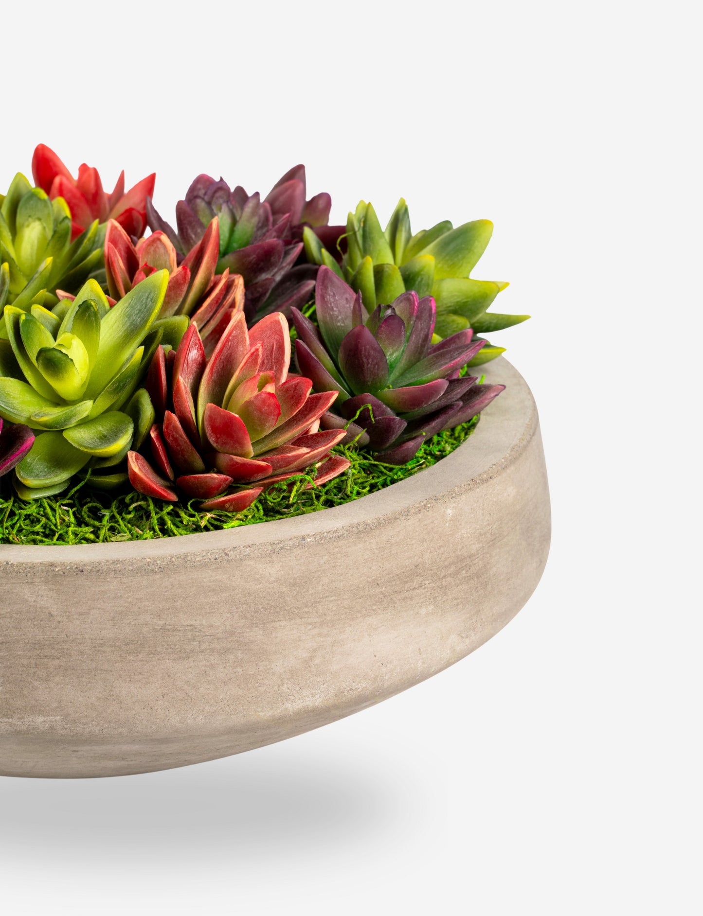 Mallorca Succulent Cement Arrangement