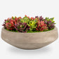 Mallorca Succulent Cement Arrangement