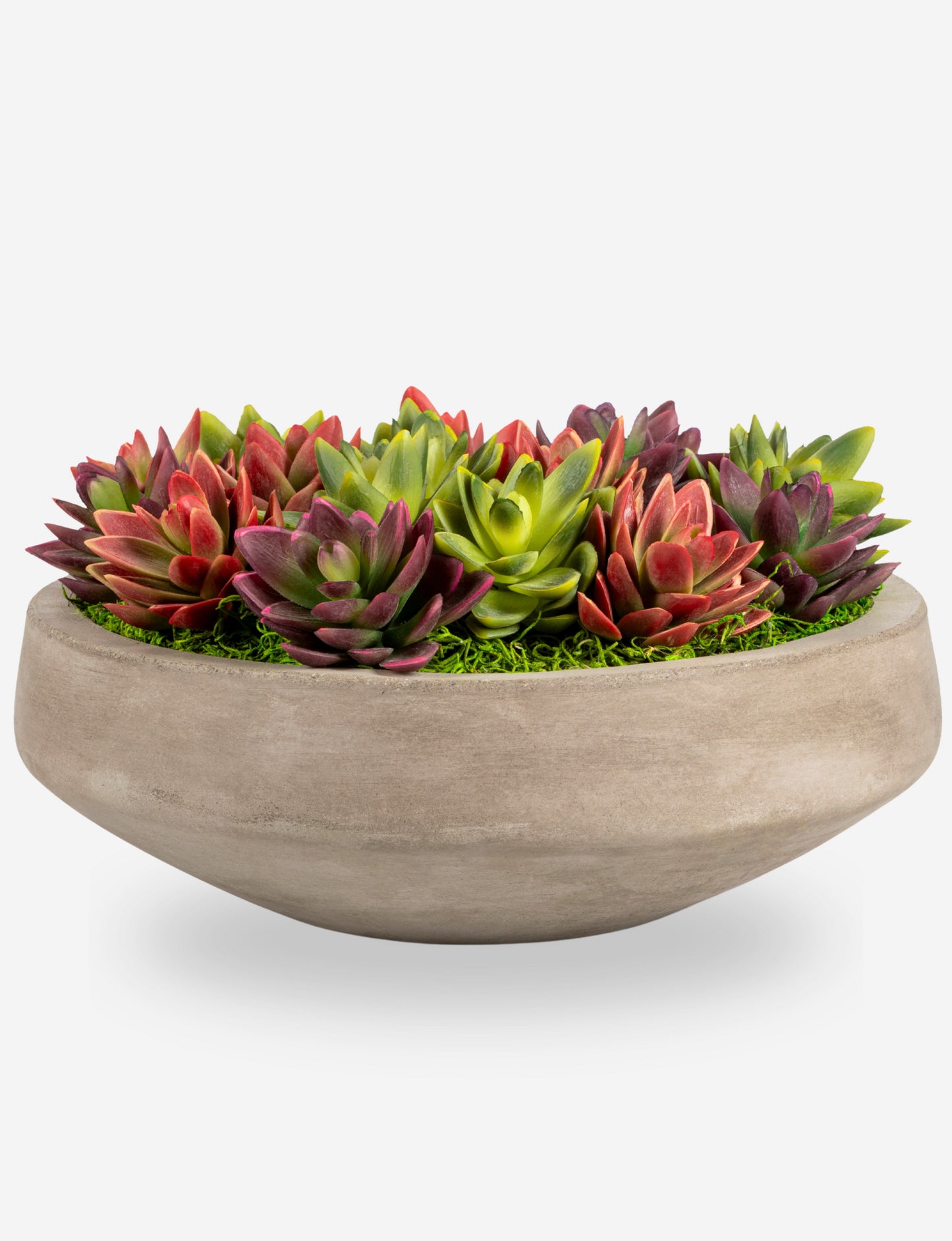 Mallorca Succulent Cement Arrangement