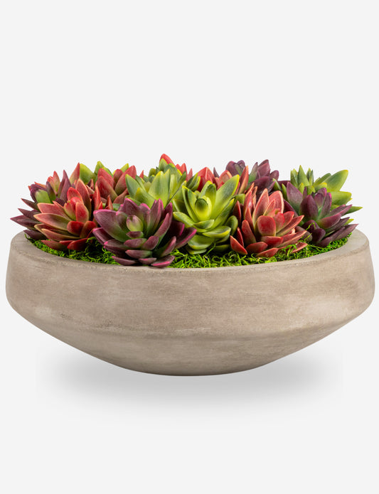 Mallorca Succulent Cement Arrangement