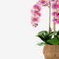 Manorca RealTouch Orchid Arrangement