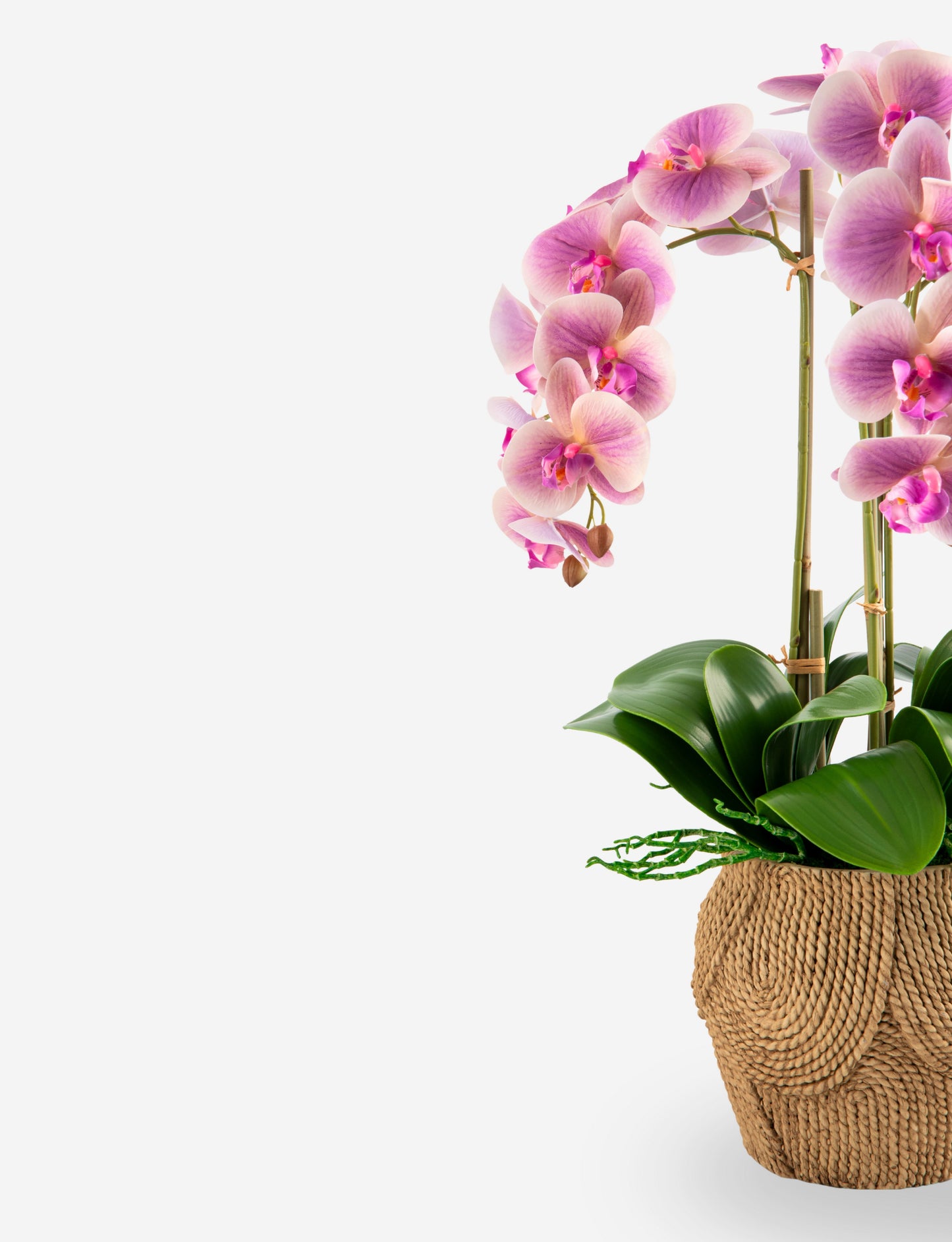Manorca RealTouch Orchid Arrangement