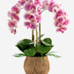 Manorca RealTouch Orchid Arrangement