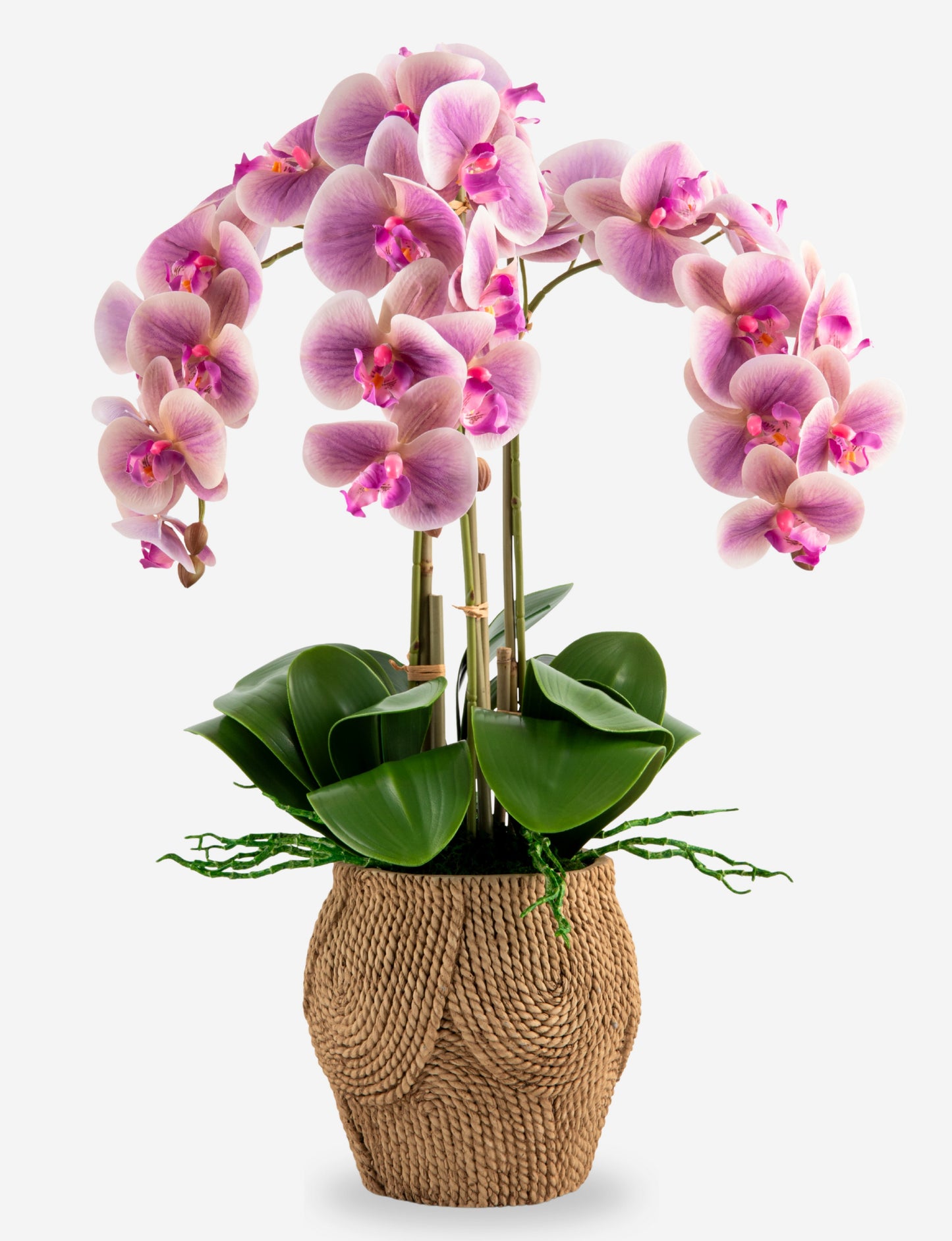 Manorca RealTouch Orchid Arrangement