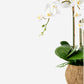Manorca RealTouch Orchid Arrangement