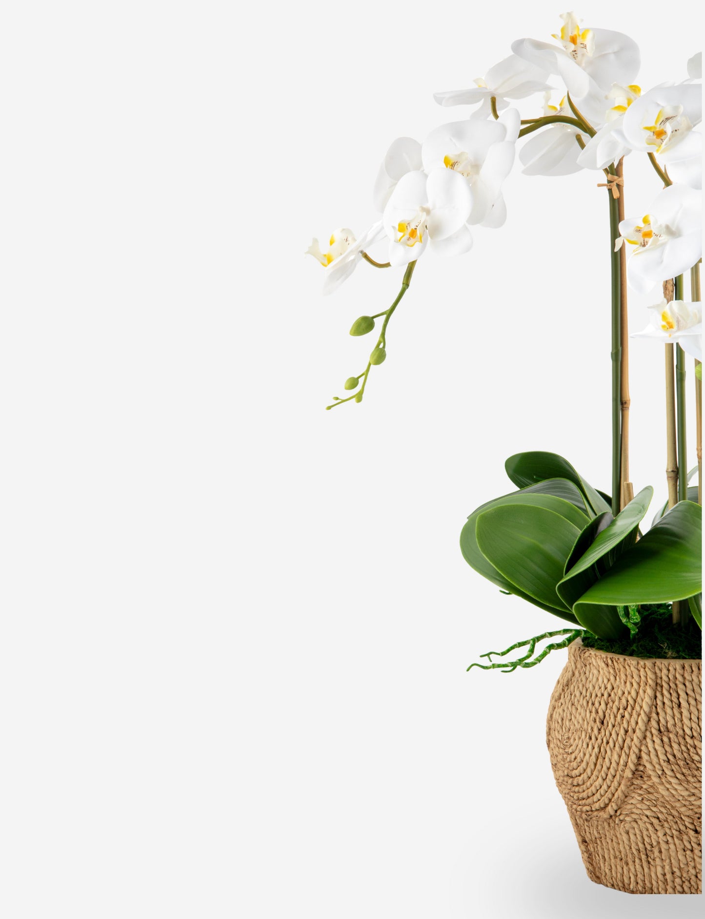 Manorca RealTouch Orchid Arrangement