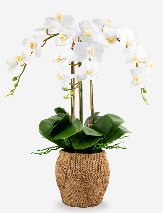 Manorca RealTouch Orchid Arrangement