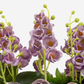 Marcella RealTouch Mixed Floral Arrangement