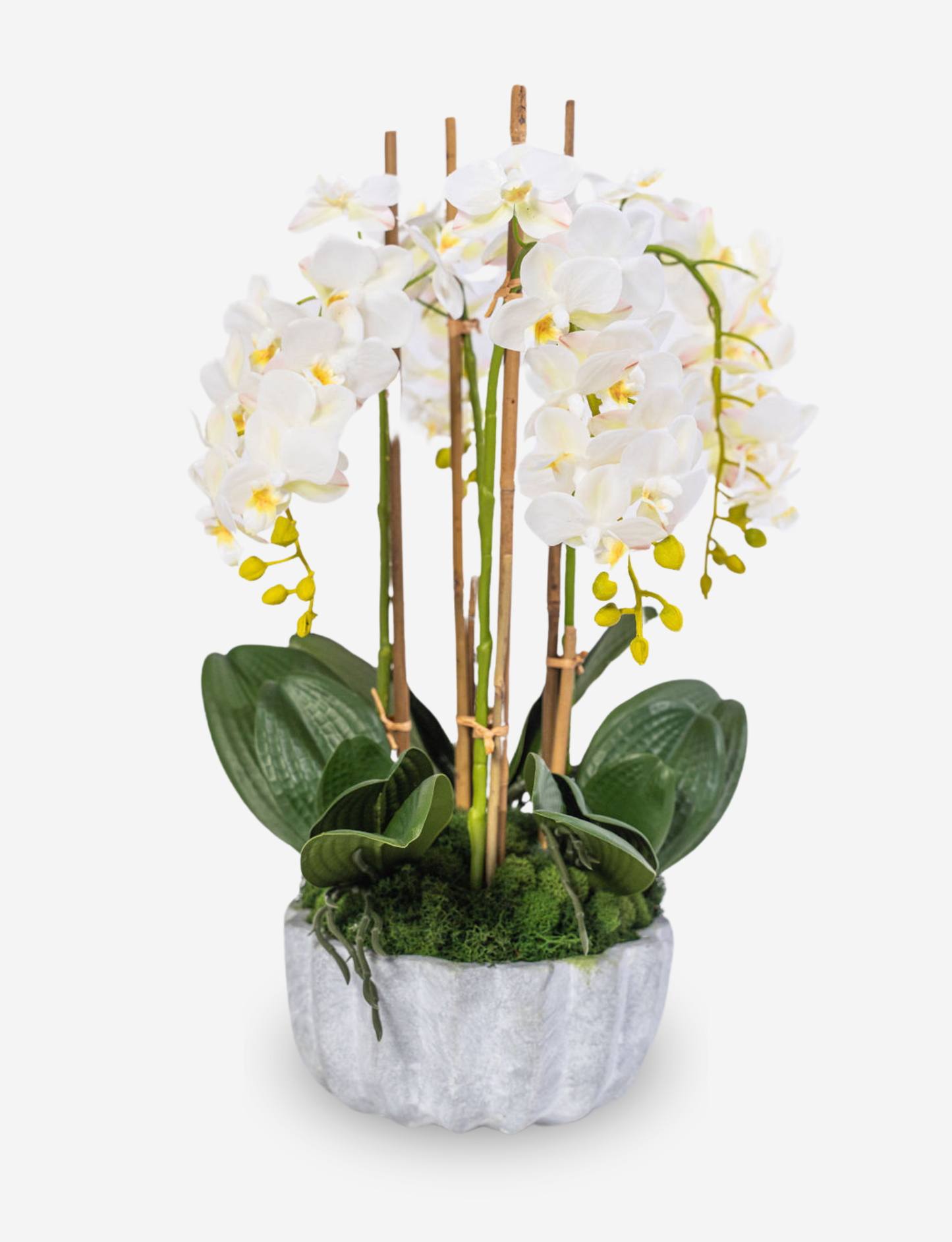 Melody RealTouch Orchid Arrangement