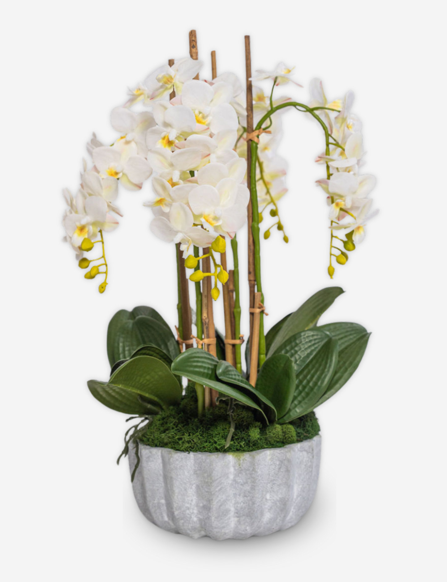 Melody RealTouch Orchid Arrangement