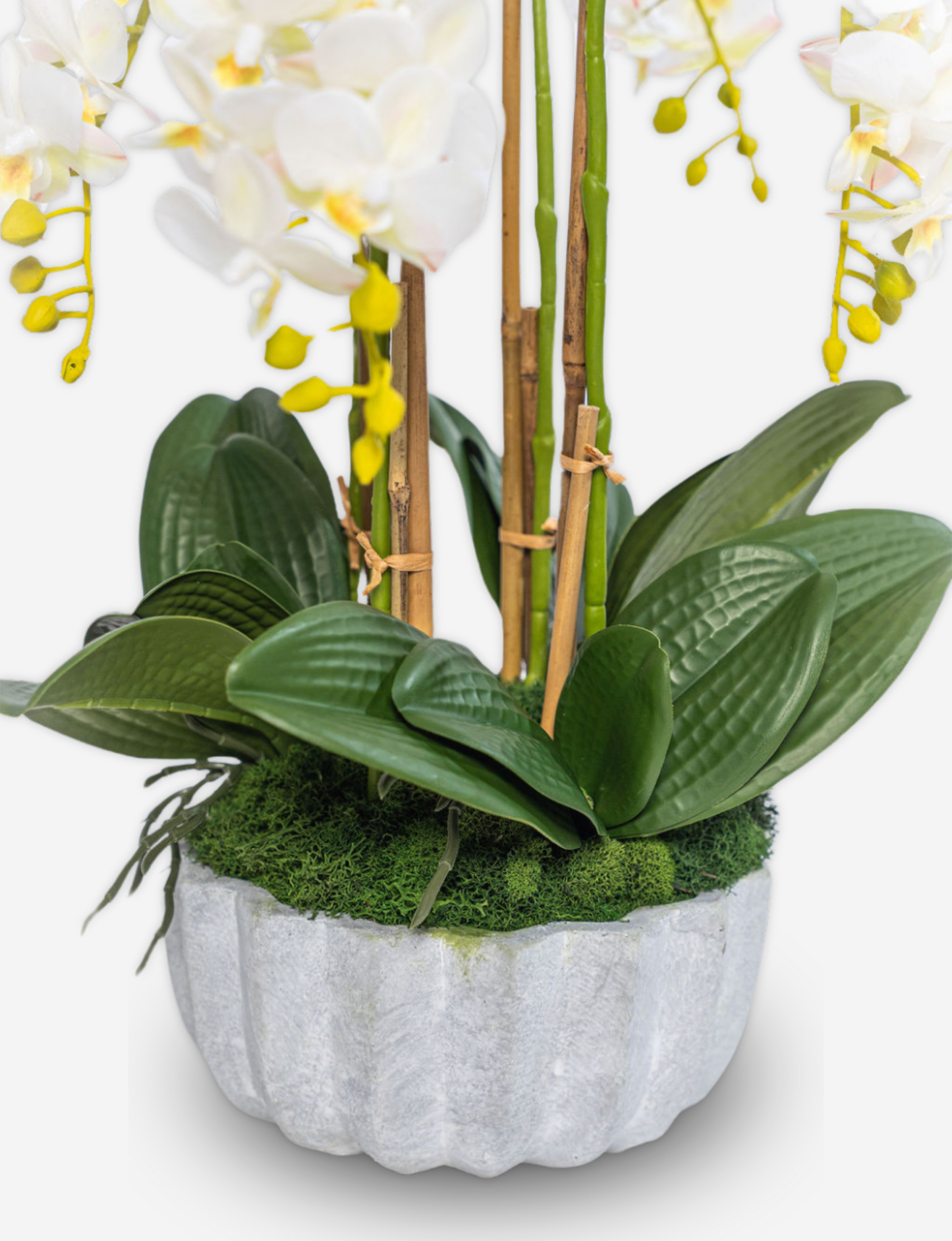 Melody RealTouch Orchid Arrangement