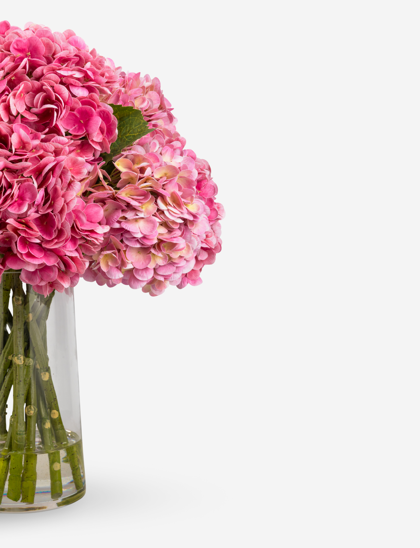 Mirabelle RealTouch Hydrangea Arrangement