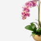 Monet RealTouch Orchid in Gold Pedestal