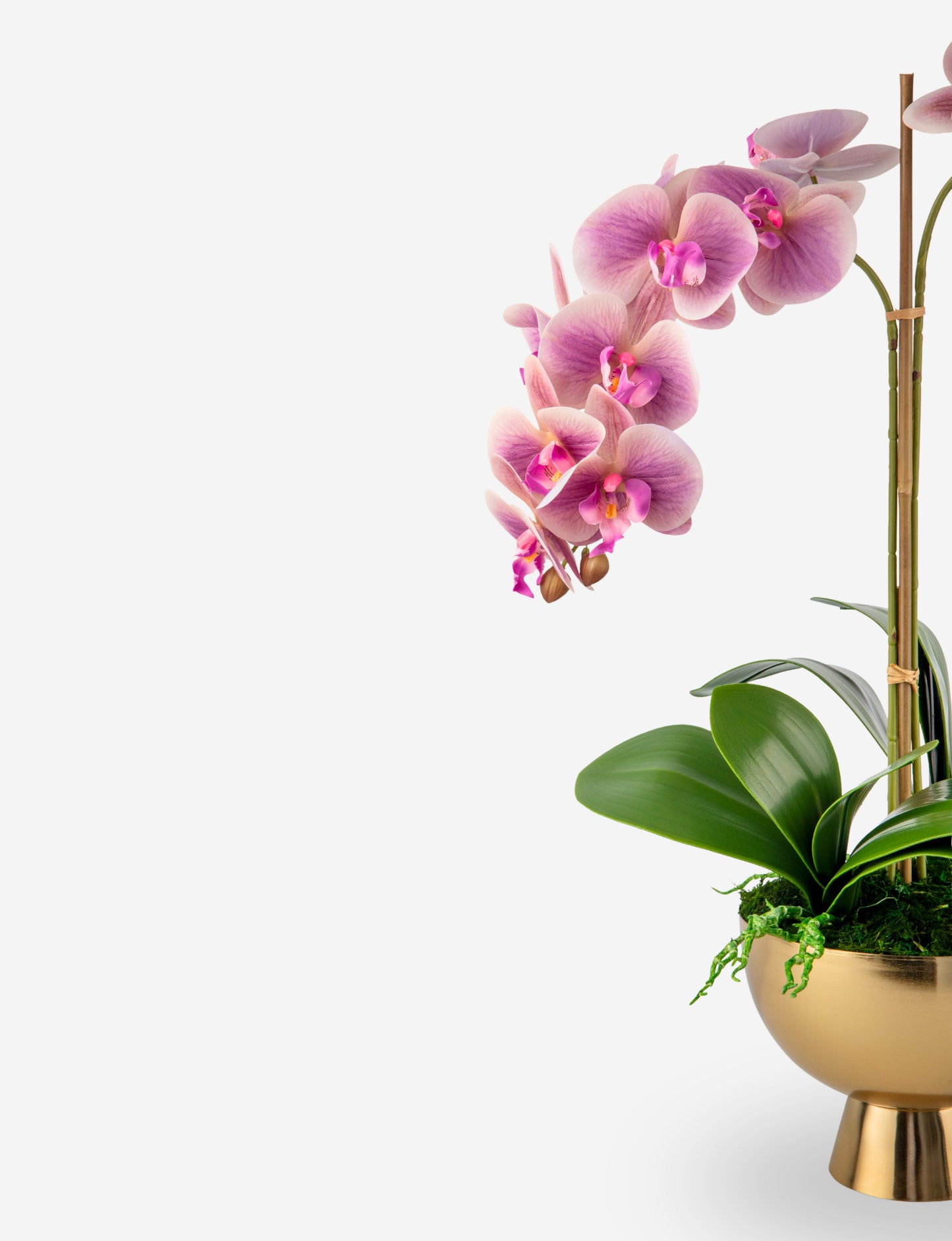 Monet RealTouch Orchid in Gold Pedestal