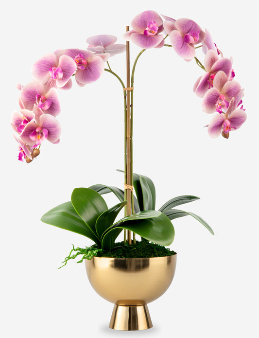 Monet RealTouch Orchid in Gold Pedestal