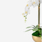 Monet RealTouch Orchid in Gold Pedestal