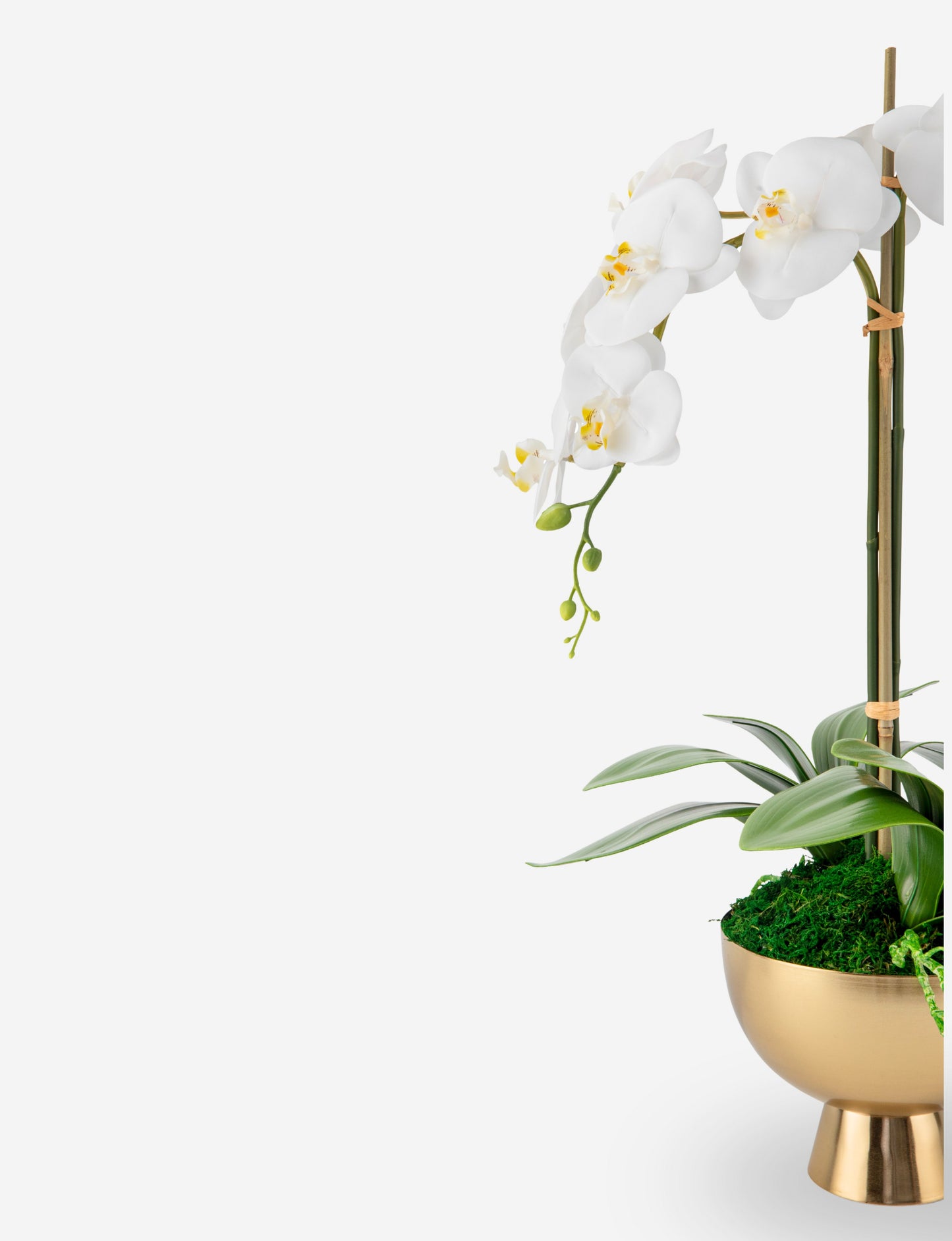 Monet RealTouch Orchid in Gold Pedestal