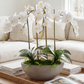 Eleanora RealTouch Orchid Centerpiece
