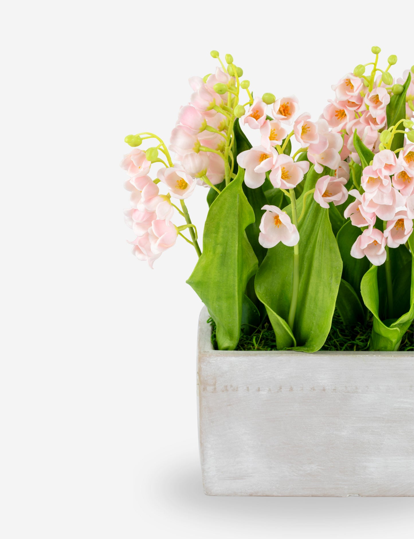 Parma RealTouch Muguet