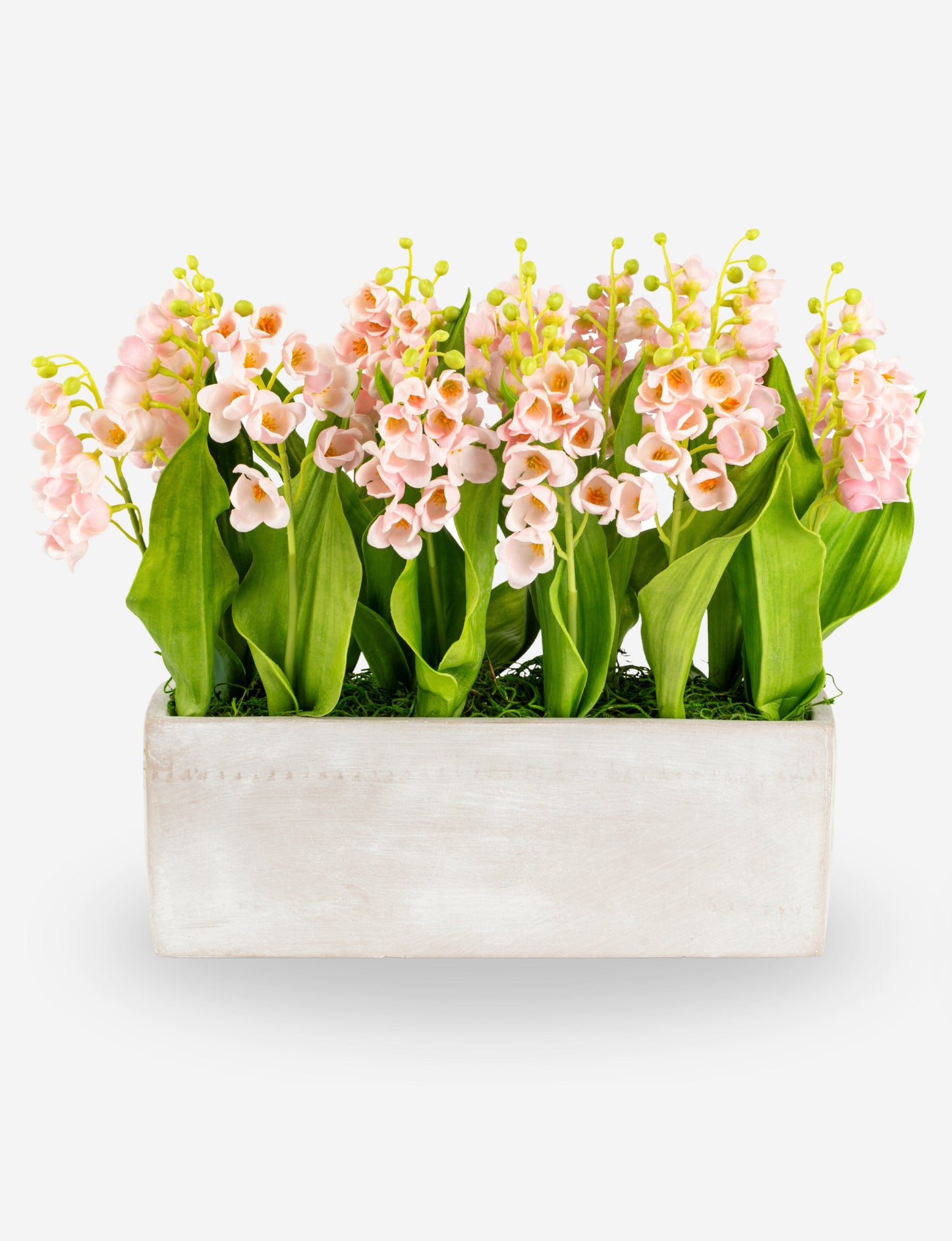 Parma RealTouch Muguet