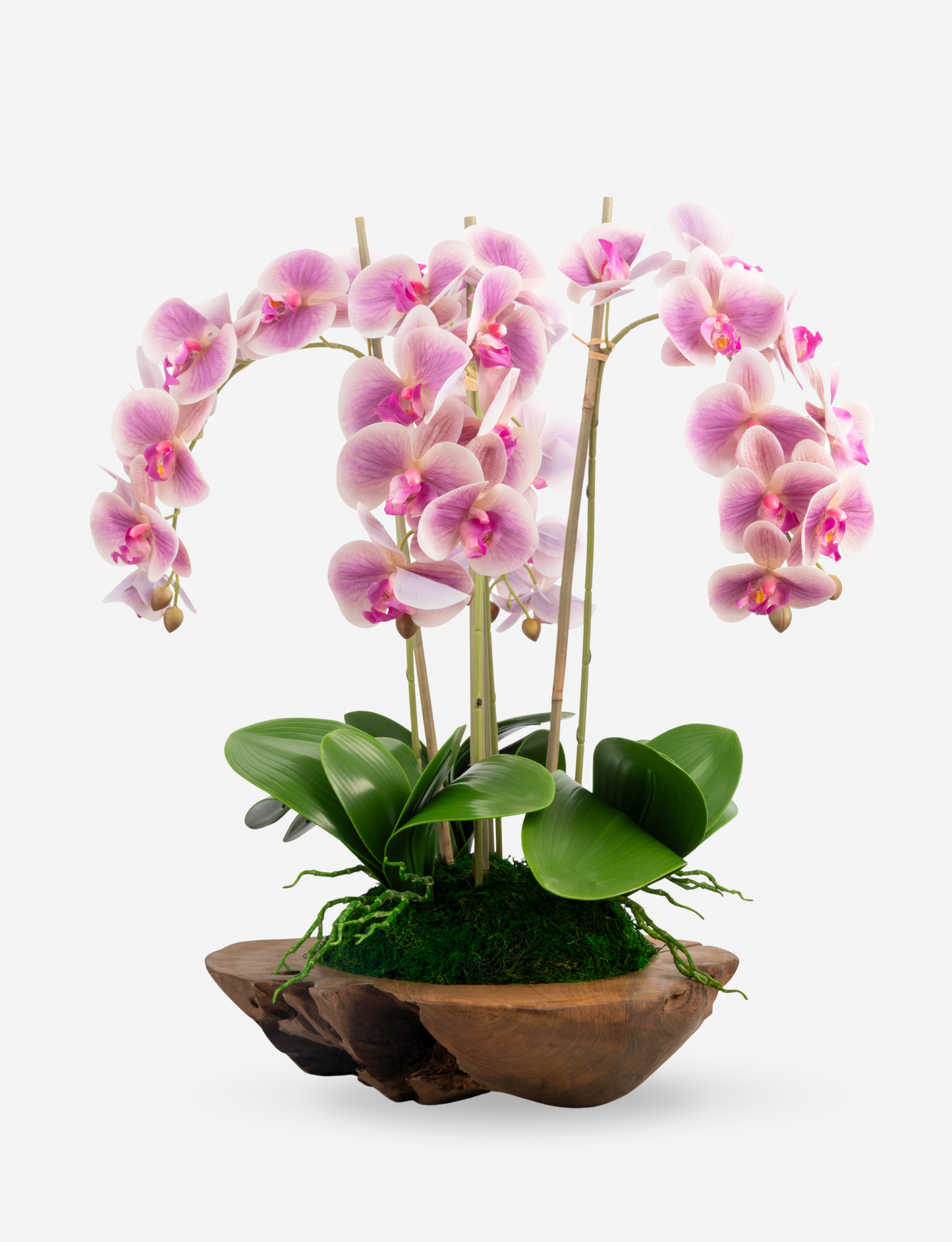 Phoenix RealTouch Orchid in Wood Bowl