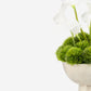 Plato RealTouch Calla Lilly Arrangement