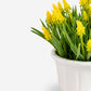 Remy Hyacinth Arrangement