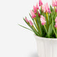 Remy Hyacinth Arrangement