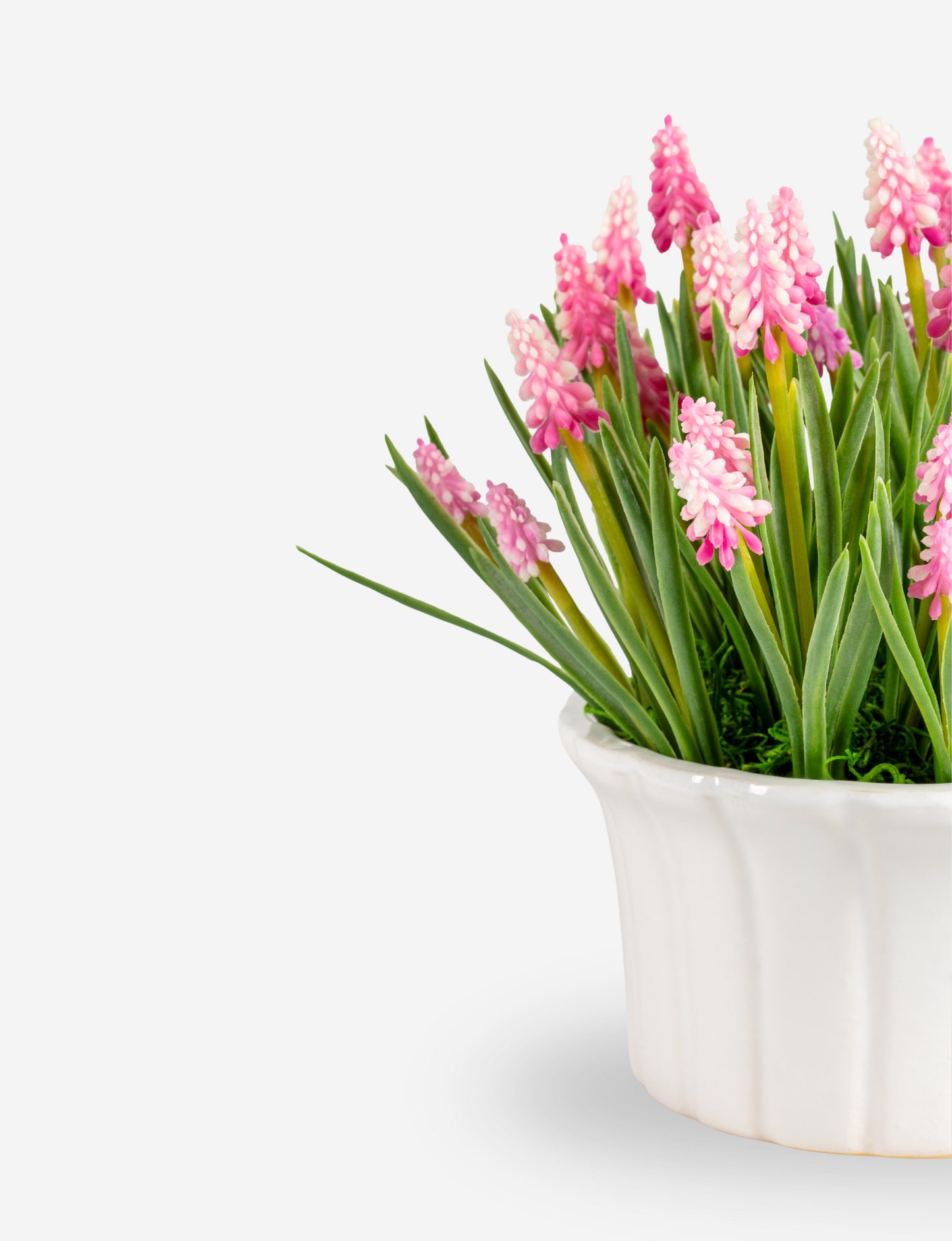 Remy Hyacinth Arrangement