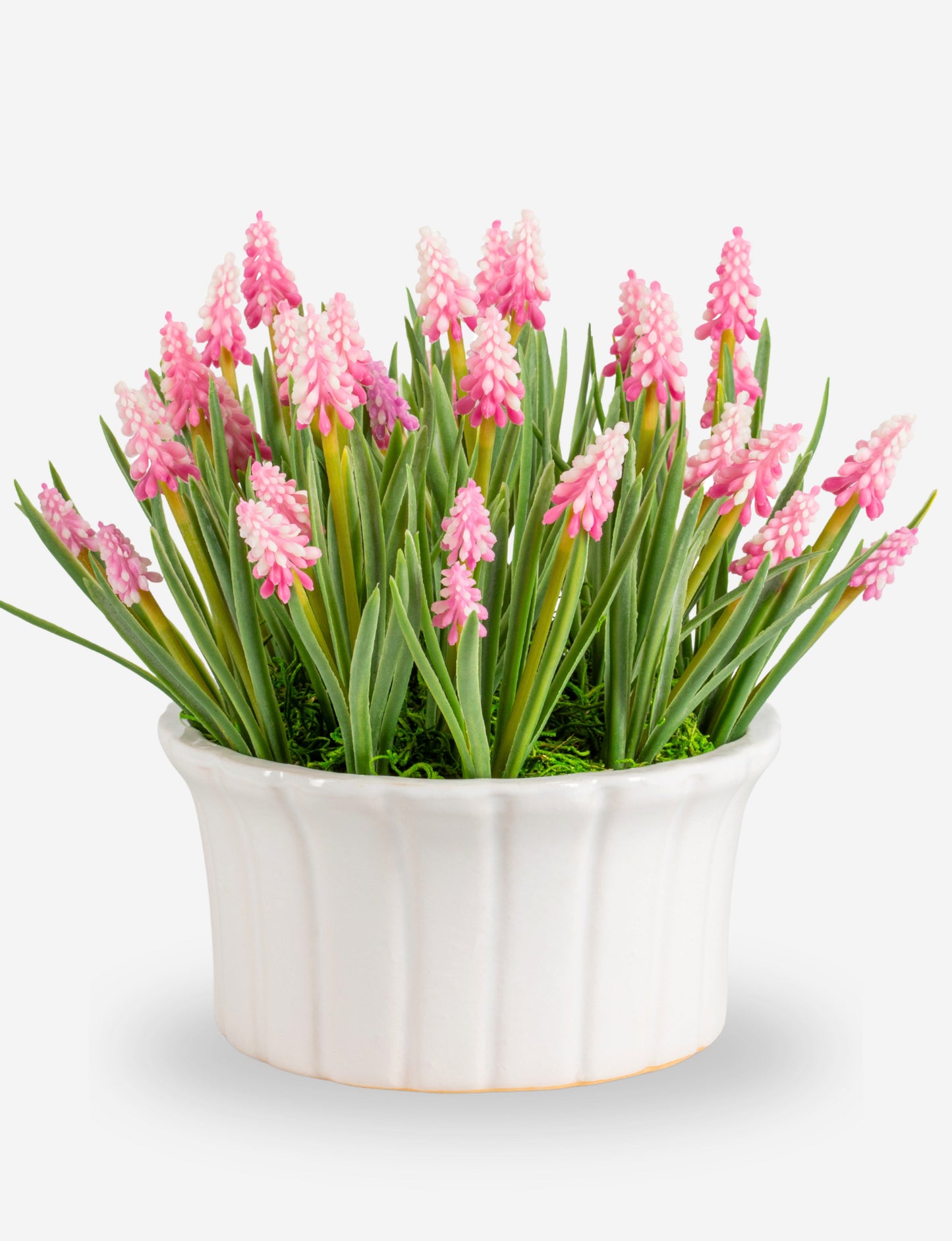 Remy Hyacinth Arrangement