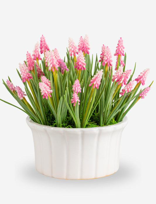 Remy Hyacinth Arrangement