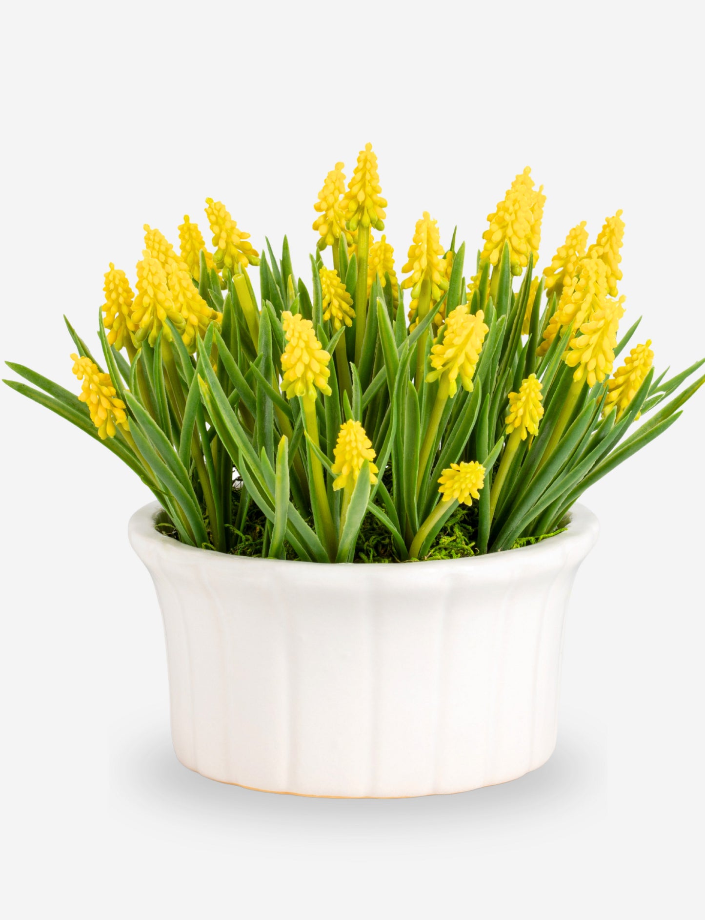 Remy Hyacinth Arrangement