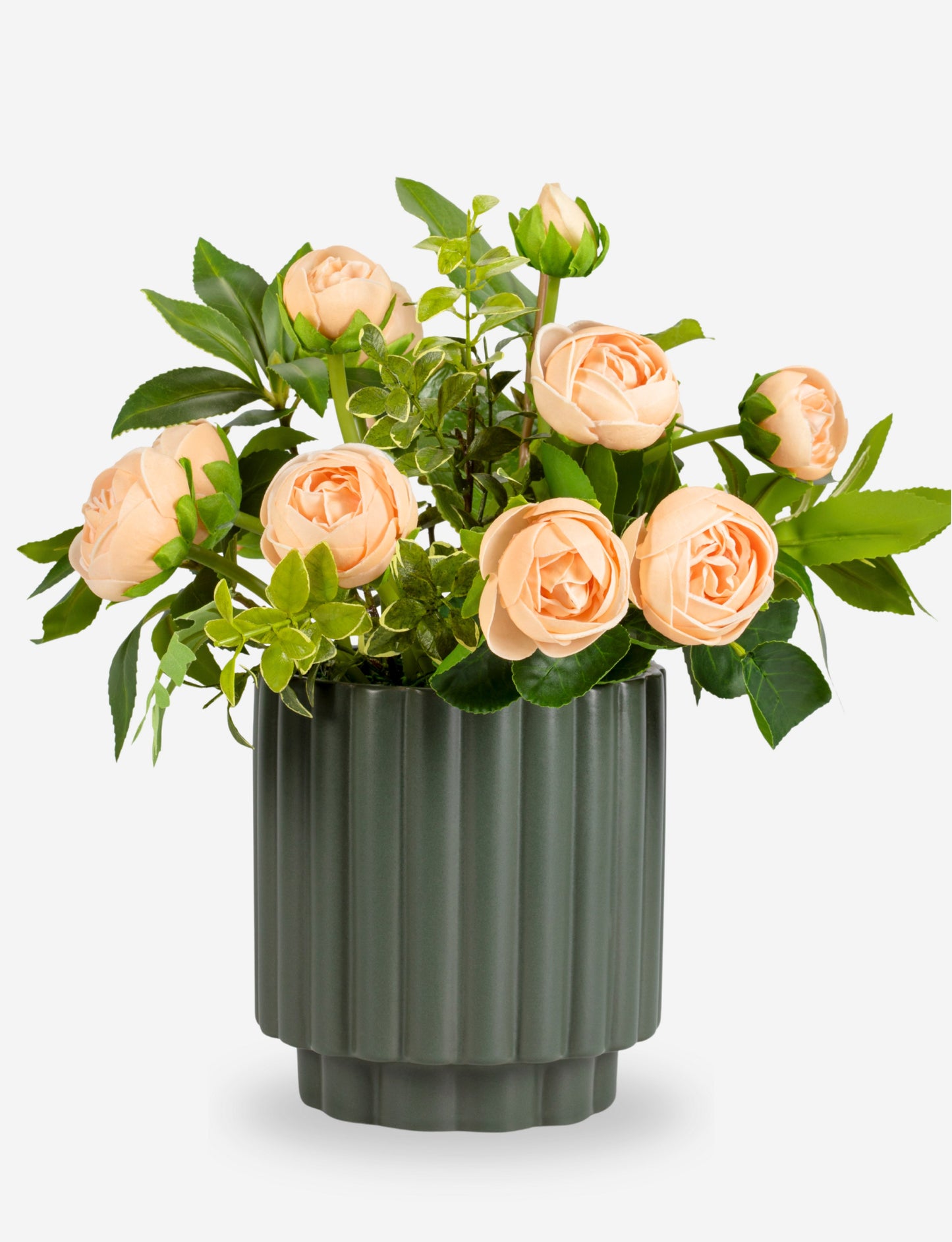Renier RealTouch Botanical
