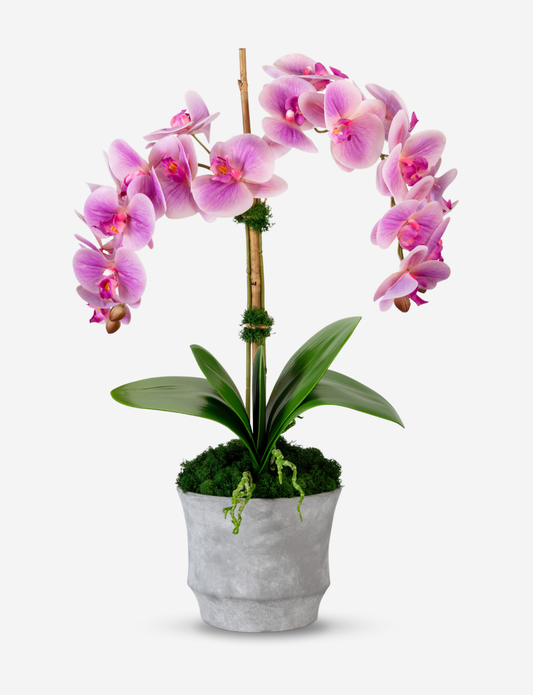 Rosalyn RealTouch Orchid