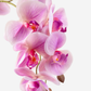 Rowan RealTouch Orchid